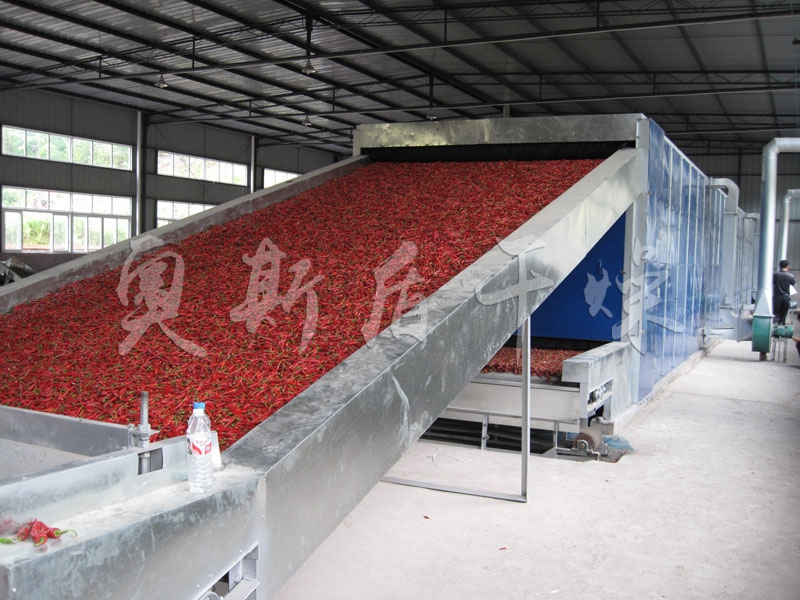 DWT系列脫水蔬菜干燥機